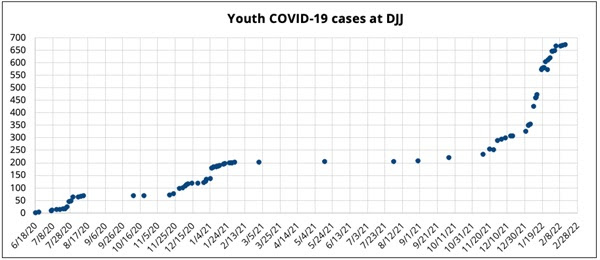 This graph showcases data on COVID-19 cases since June 2020, when the pandemic first began. More recently, the graph shows the spike in numbers, with the rate of infection accelerating in November 2021. Since this latest outbreak began in mid-November, 425 youth have tested positive out of a population of approximately 640 (as of January 31). That’s two out of every three youth falling ill in a matter of months 