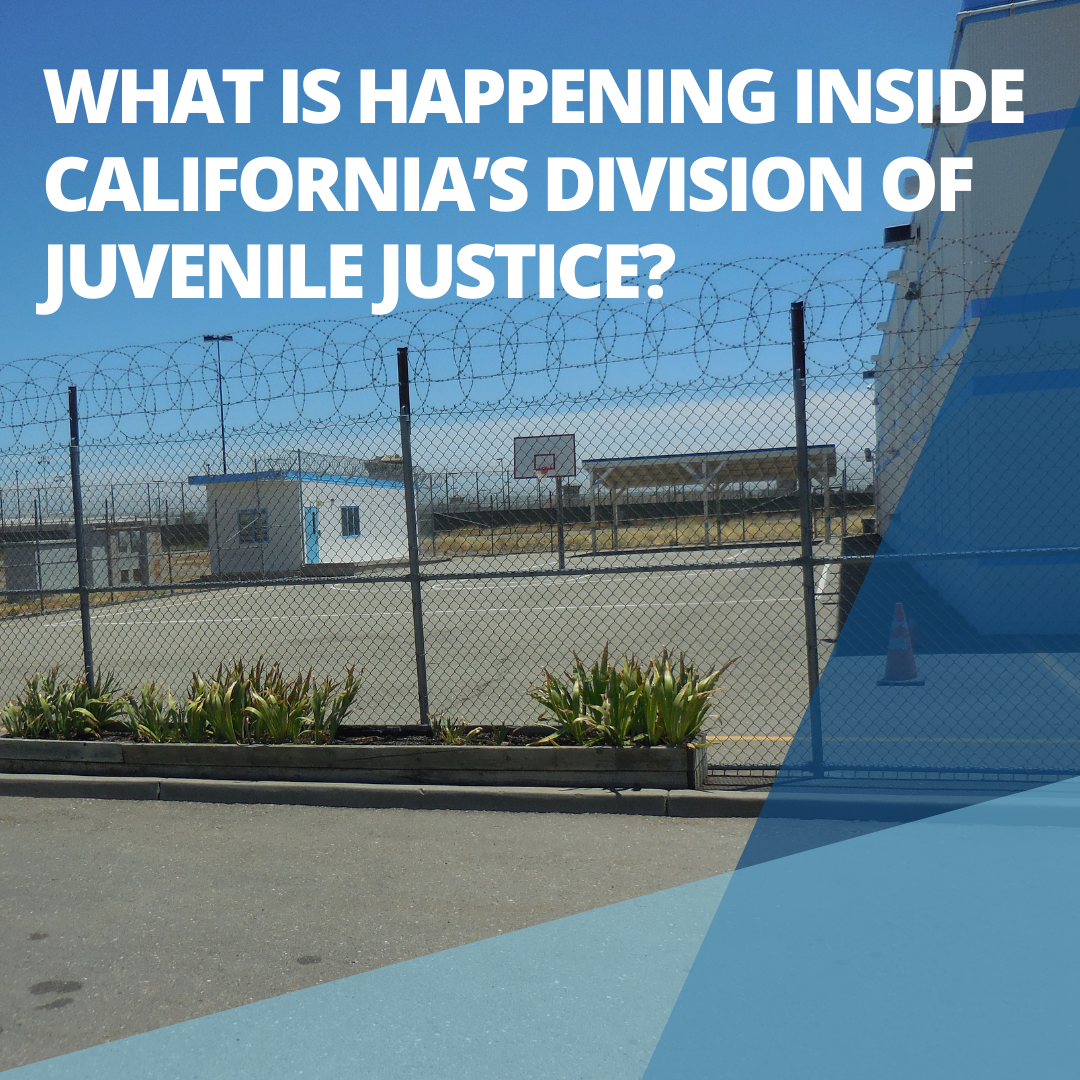 What is happening inside California's Division of Juvenile Justice?